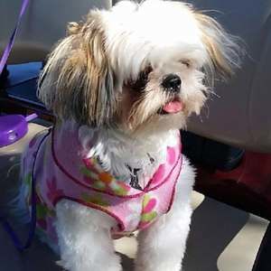 Meet your Posher, Toni